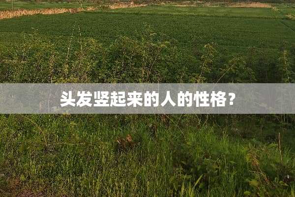 头发竖起来的人的性格？