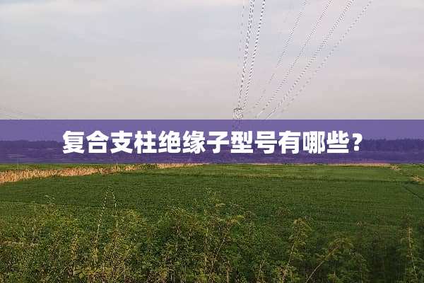 复合支柱绝缘子型号有哪些？