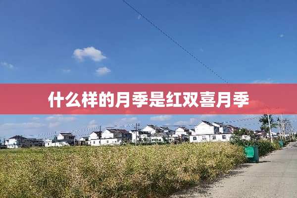 什么样的月季是红双喜月季