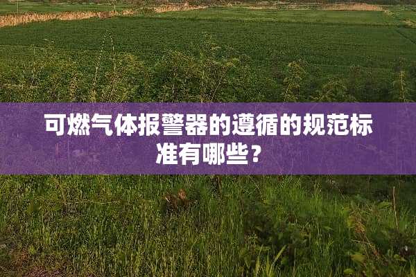 可燃气体报警器的遵循的规范标准有哪些？