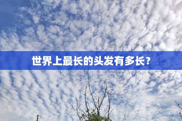 世界上最长的头发有多长？