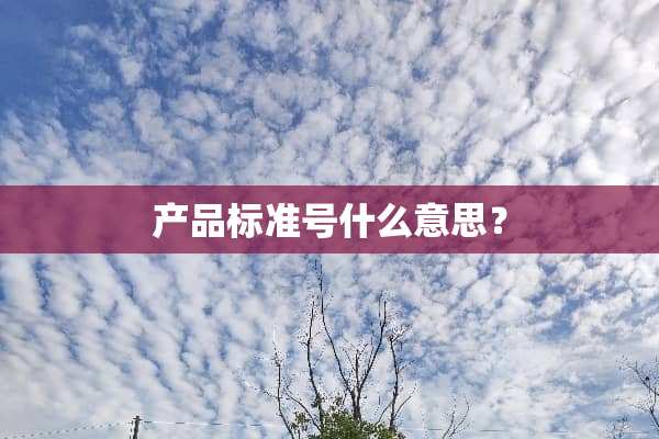 产品标准号什么意思？