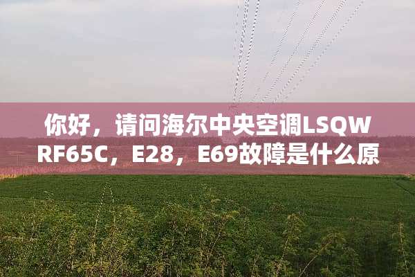 你好，请问海尔**空调LSQWRF65C，E28，E69故障是什么原因？谢谢！
