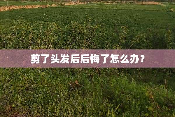 剪了头发后后悔了怎么办？