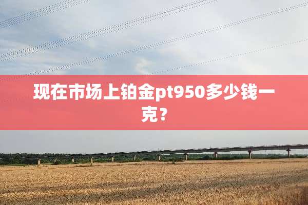 现在市场上铂金pt950多少钱一克？