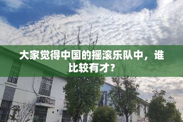 大家觉得中国的摇滚乐队中，谁比较有才？