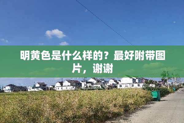 明**是什么样的？最好附带图片，谢谢