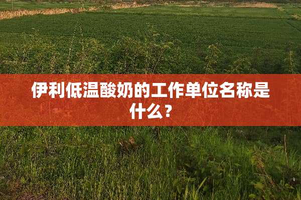 伊利低温酸奶的工作单位名称是什么？