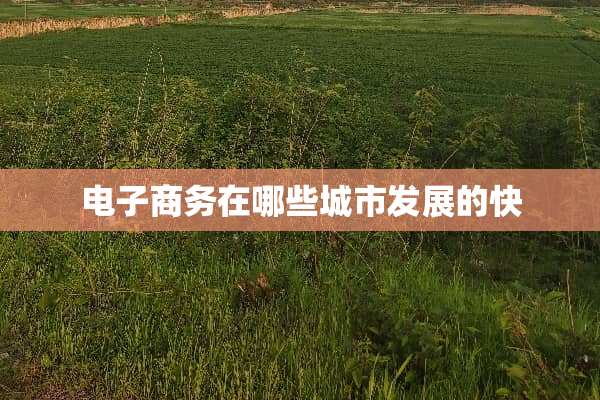 电子商务在哪些城市发展的快