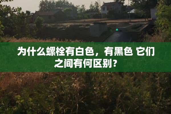 为什么螺栓有白色，有黑色 它们之间有何区别？