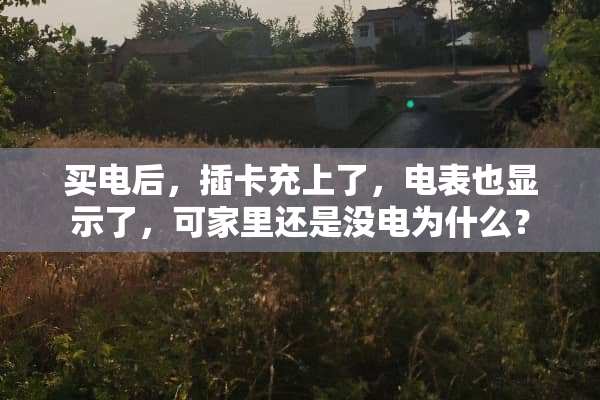买电后，插卡充上了，电表也显示了，可家里还是没电为什么？