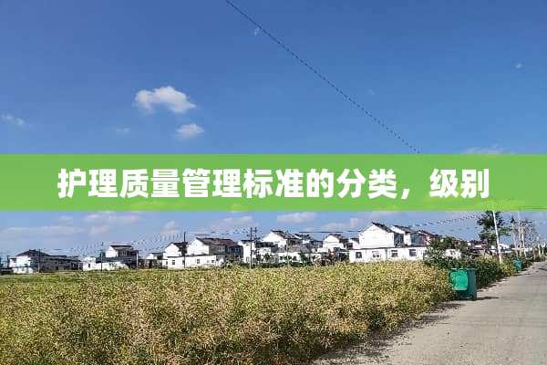 护理质量管理标准的分类，级别