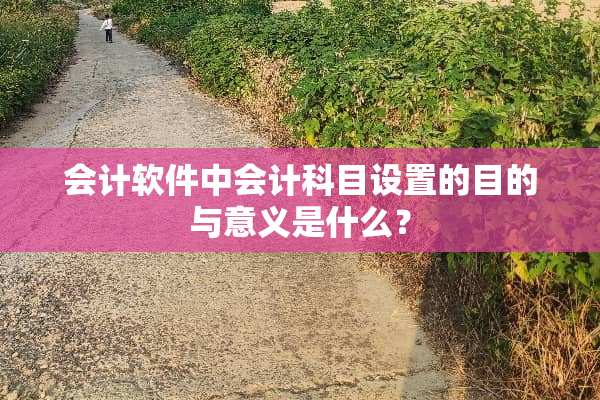 会计软件中会计科目设置的目的与意义是什么？