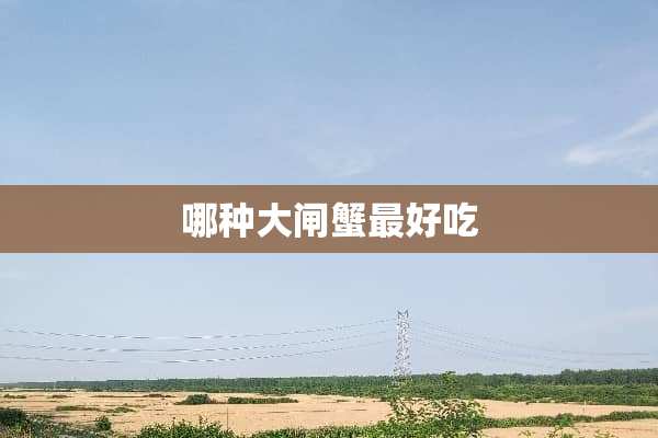 哪种大闸蟹最好吃