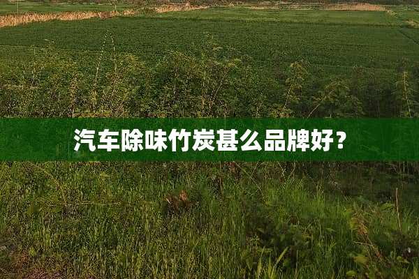 汽车除味竹炭甚么品牌好？