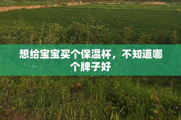 想给宝宝买个保温杯，不知道哪个牌子好