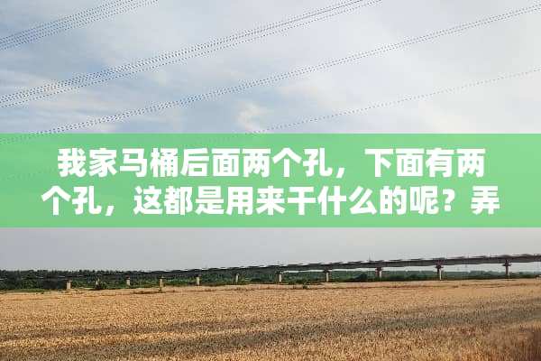 我家马桶后面两个孔，下面有两个孔，这都是用来干什么的呢？弄的家里老有臭气
