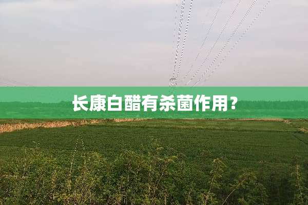 长康白醋有杀菌作用？