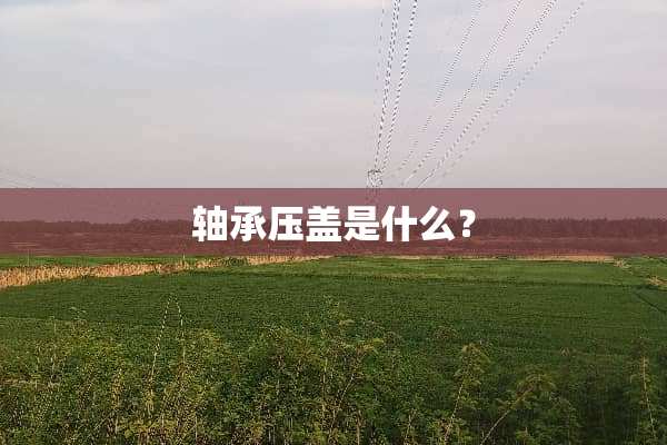 轴承压盖是什么？