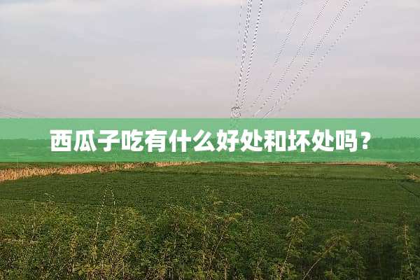 西瓜子吃有什么好处和坏处吗？