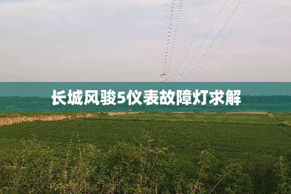 长城风骏5仪表故障灯求解