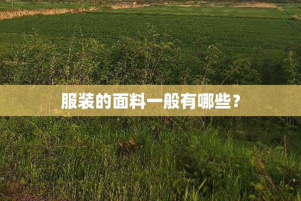服装的面料一般有哪些？