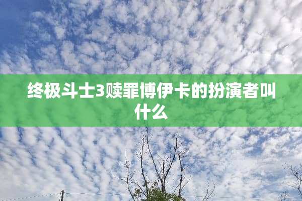 终极斗士3赎罪博伊卡的扮演者叫什么