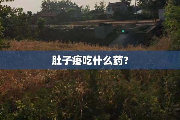 肚子疼吃什么药？