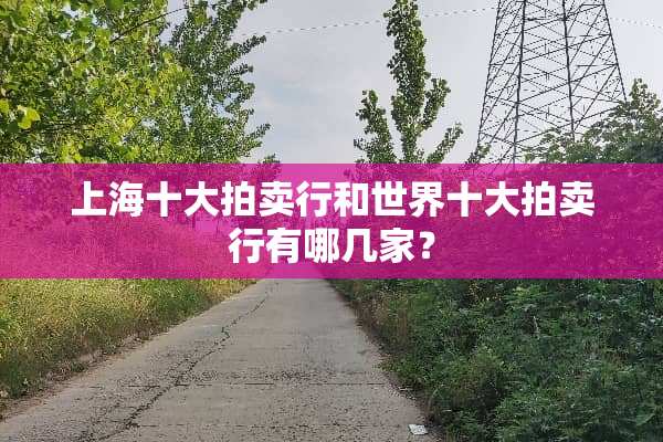 上海十大拍卖行和世界十大拍卖行有哪几家？