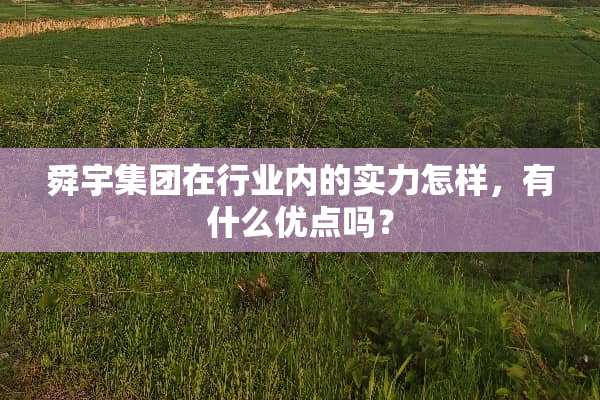 舜宇集团在行业内的实力怎样，有什么优点吗？