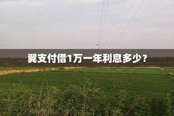 翼支付借1万一年利息多少？