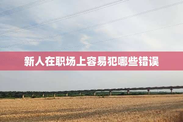 新人在职场上容易犯哪些错误