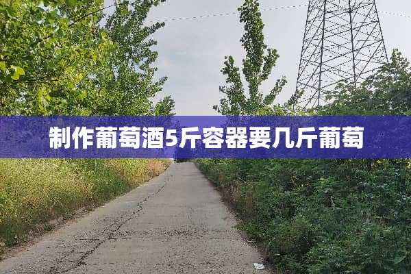 制作葡萄酒5斤容器要几斤葡萄