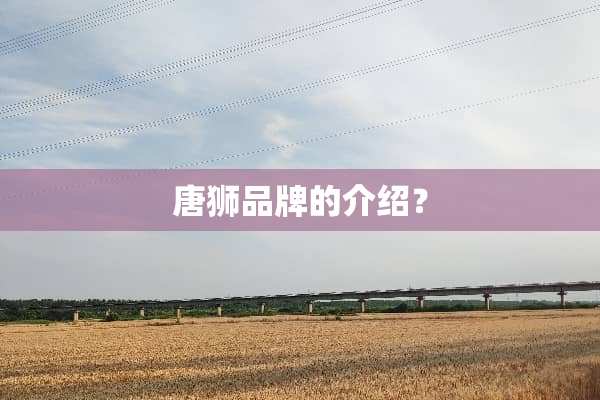 唐狮品牌的介绍？