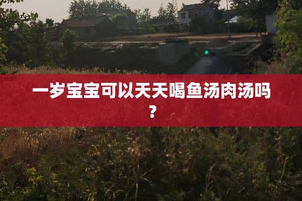 一岁宝宝可以天天喝鱼汤肉汤吗？