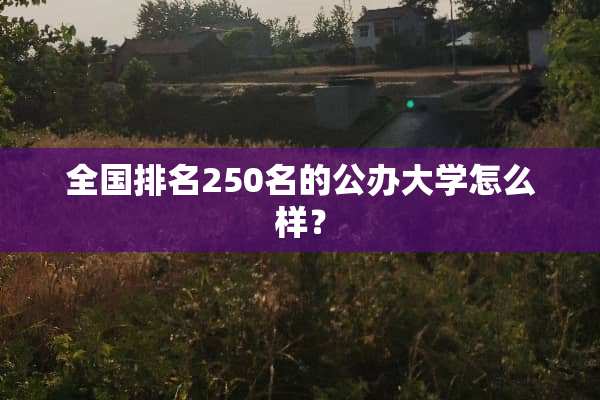 全国排名250名的公办大学怎么样？