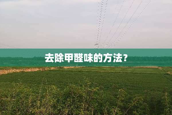 去除甲醛味的方法？
