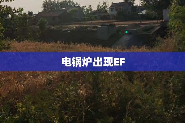 电锅炉出现EF