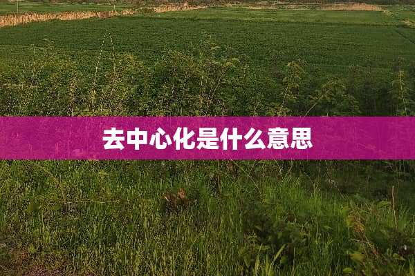 去中心化是什么意思