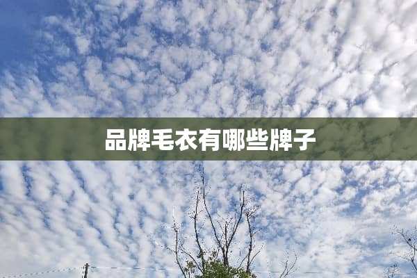品牌毛衣有哪些牌子