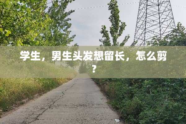 学生，男生头发想留长，怎么剪？