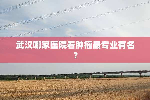 武汉哪家医院看肿瘤最专业有名？