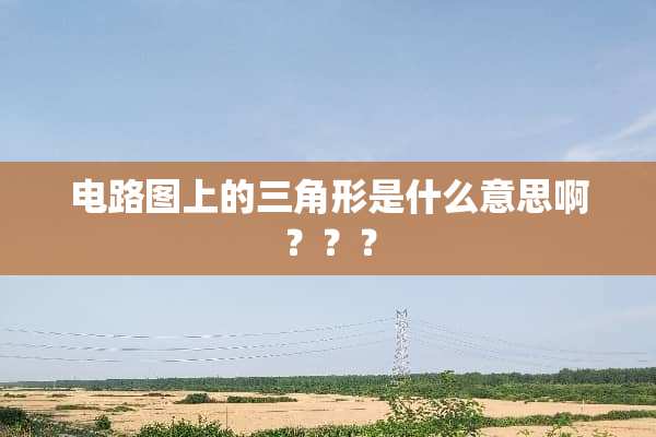 电路图上的三角形是什么意思啊？？？