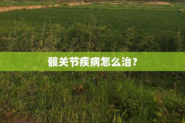 髋关节疾病怎么治？