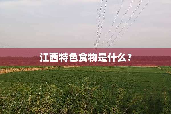 江西特色食物是什么？