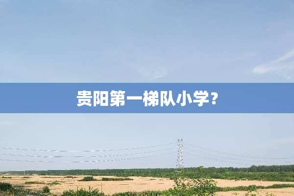 贵阳第一梯队小学？