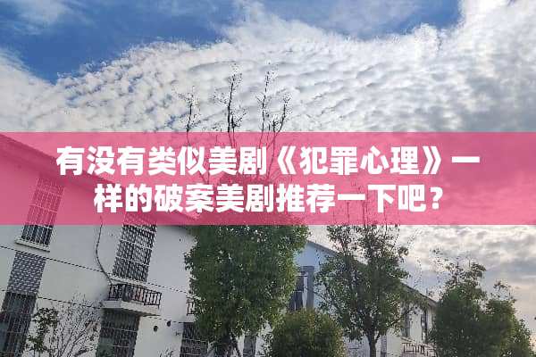 有没有类似美剧《犯罪心理》一样的破案美剧推荐一下吧？
