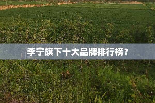 李宁旗下十大品牌排行榜？