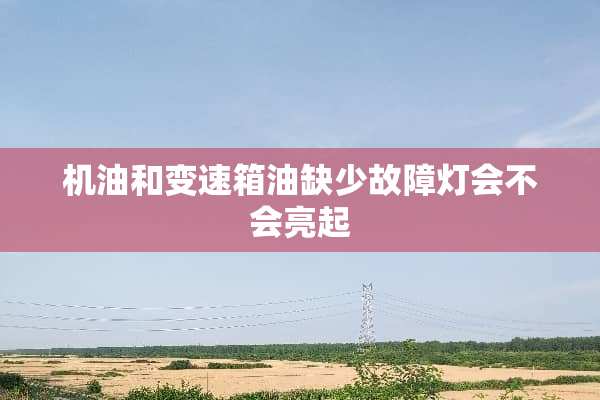 机油和变速箱油缺少故障灯会不会亮起