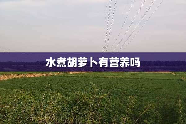 水煮胡萝卜有营养吗